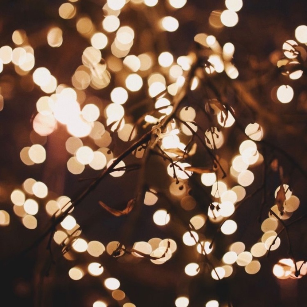 Meet your Posher, Raegan